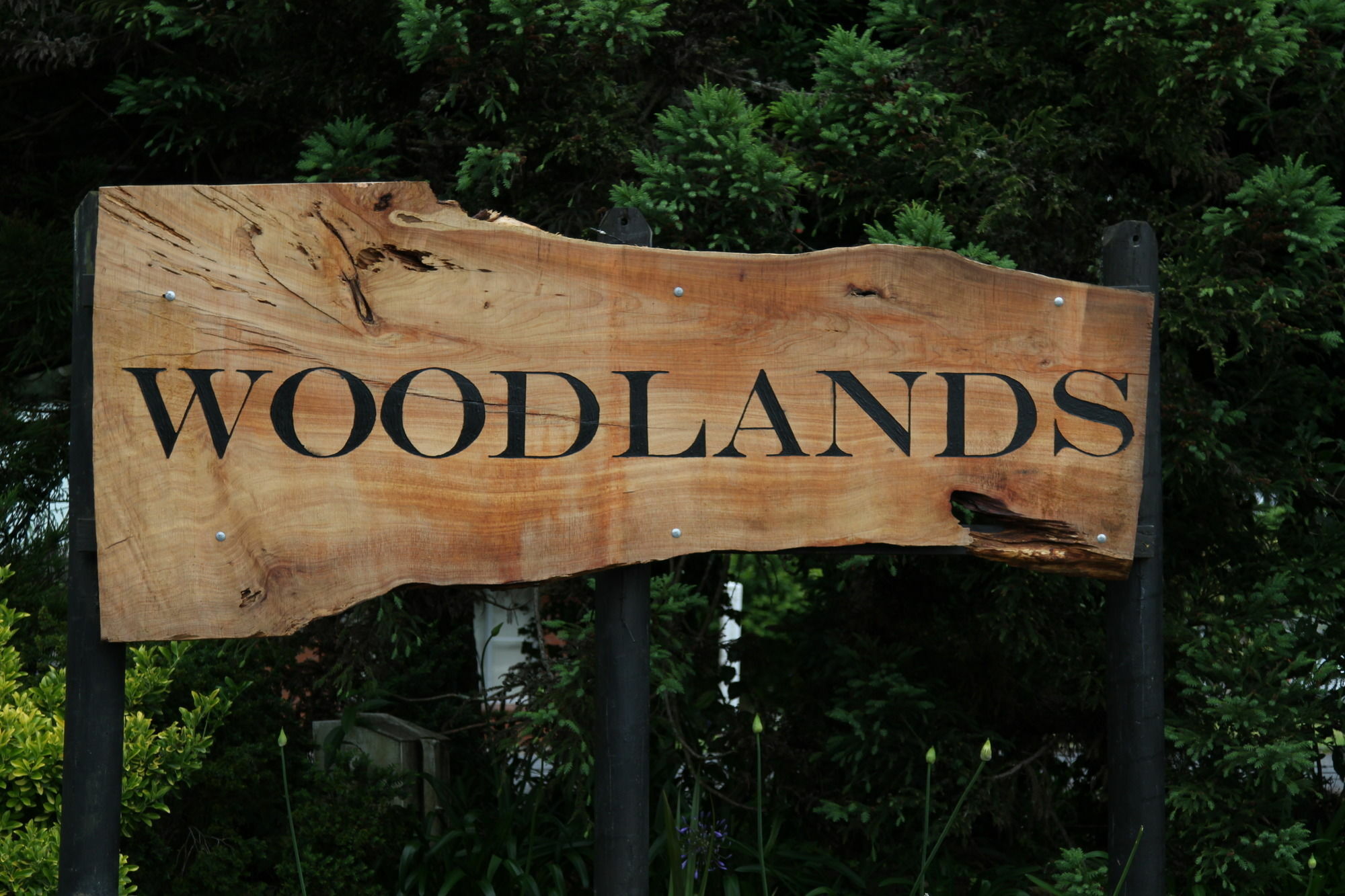 Woodlands